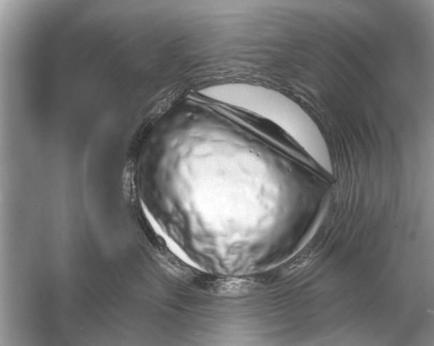 X0000056010527200509162347