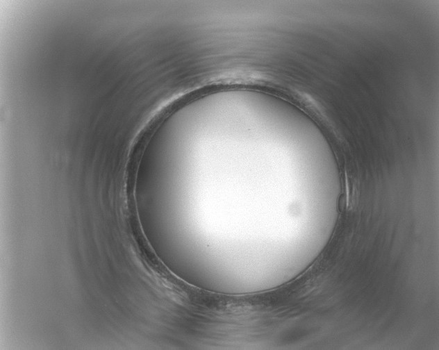 X0000056010531200509162346