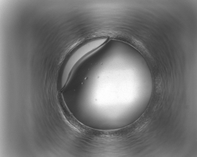 X0000056010538200509162346