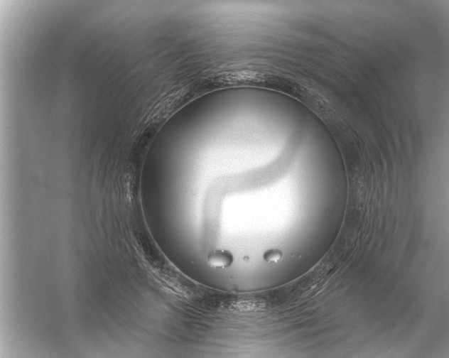 X0000056010546200509162347