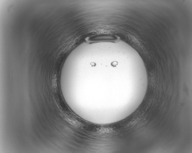 X0000056010549200509162347