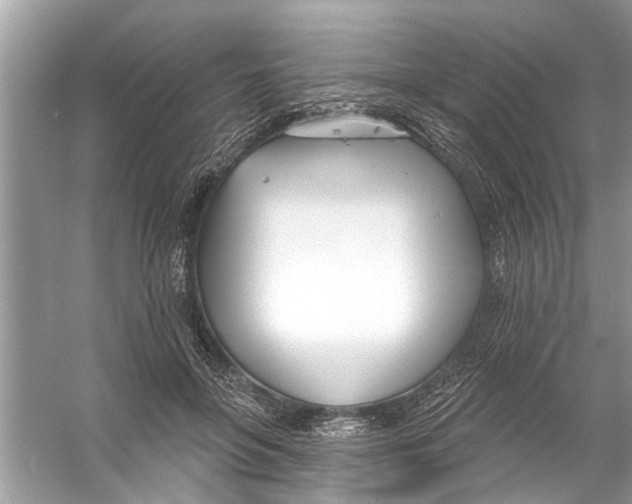 X0000056010551200509162347