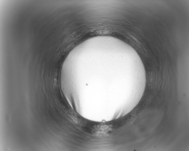 X0000056010553200509162347