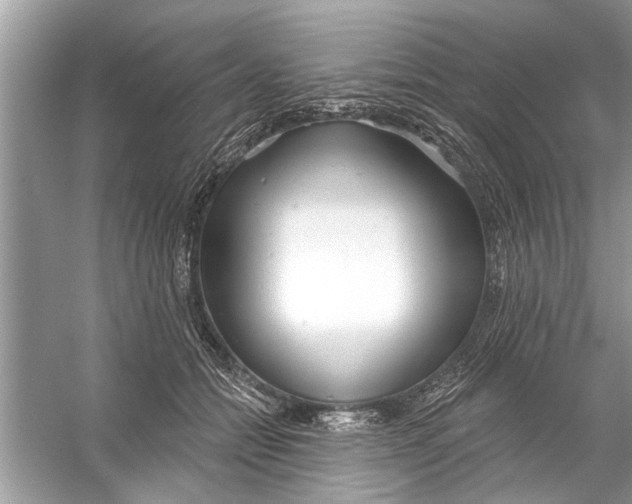 X0000056010558200509162347