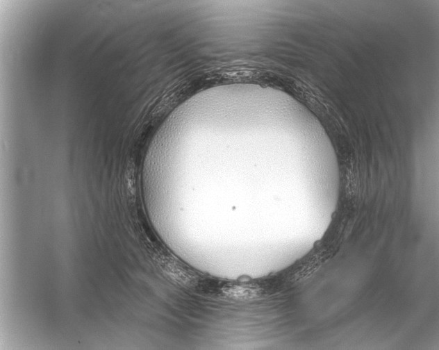 X0000056010561200509162347