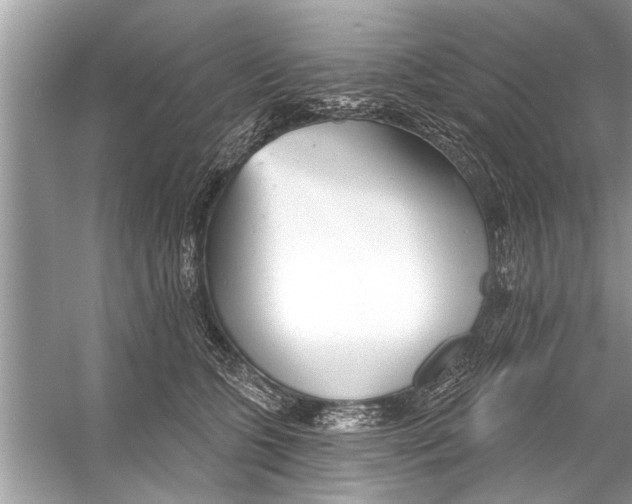 X0000056010563200509162347