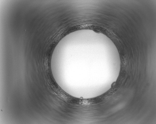 X0000056010565200509162347