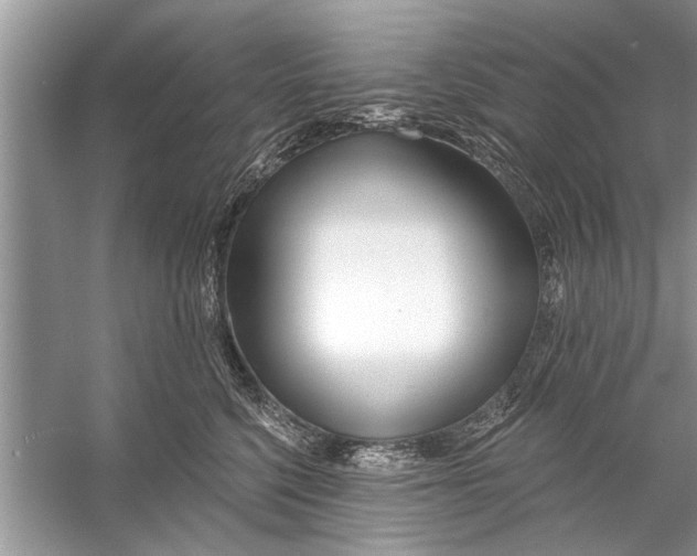 X0000056010568200509162347