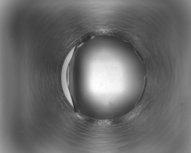 X0000056010576200509162347