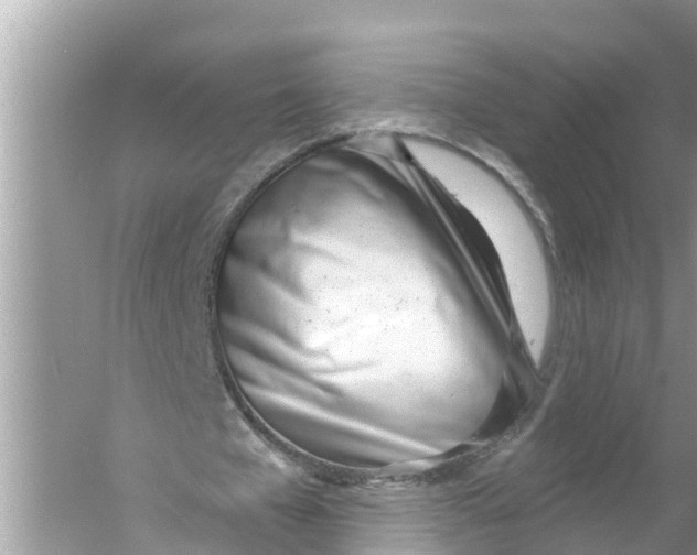 X0000056010577200509162346