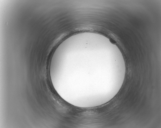 X0000056010578200509162346