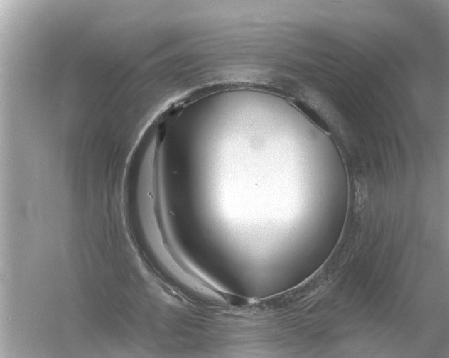 X0000056010580200509162346