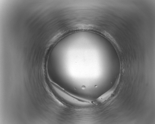 X0000056010581200509162346