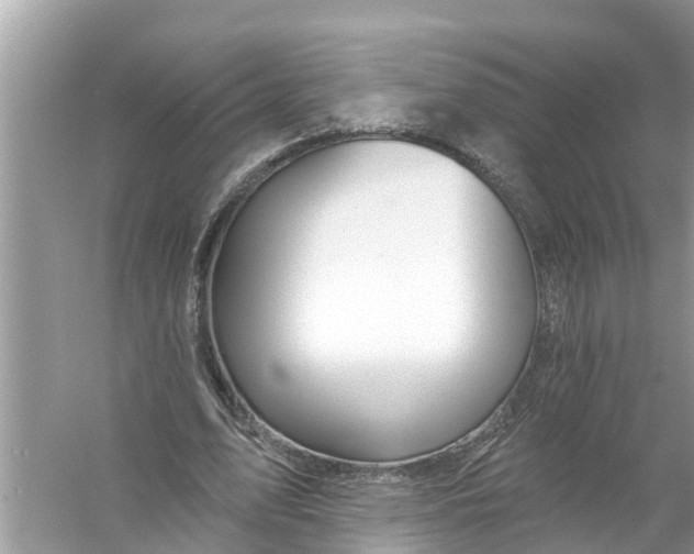 X0000056010583200509162346