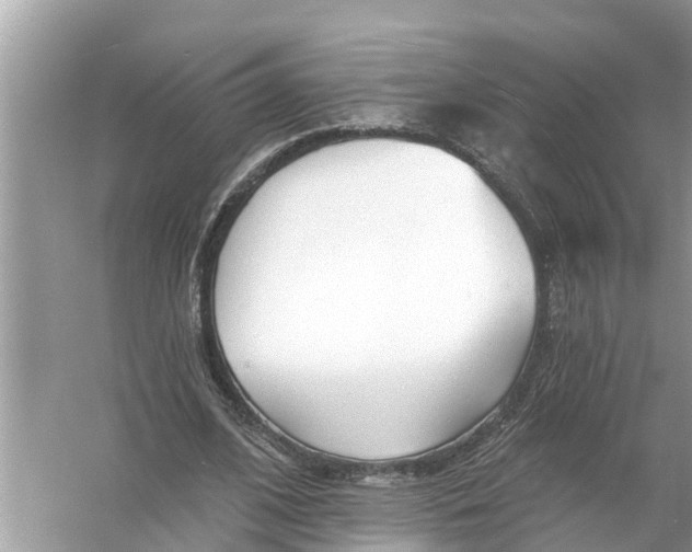 X0000056010584200509162346