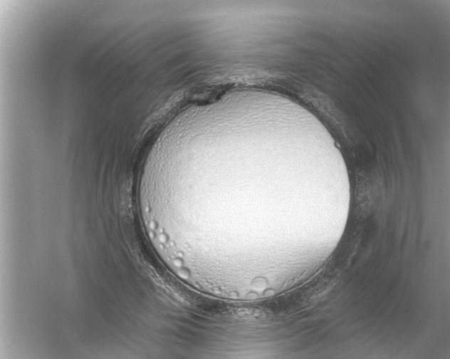 X0000056010585200509162346