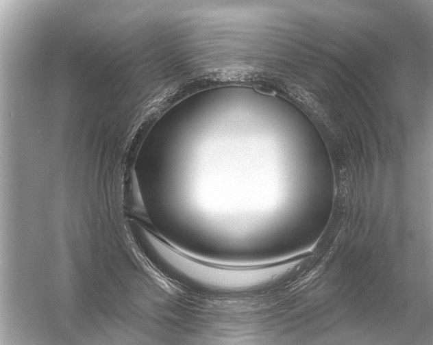 X0000056010589200509162346