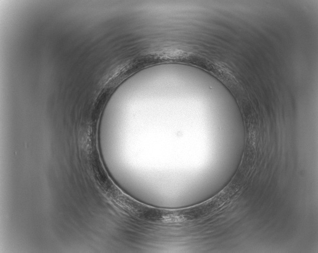 X0000056010591200509162346