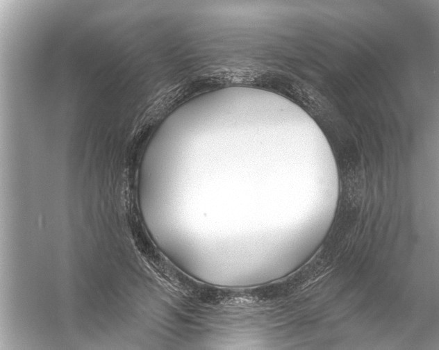 X0000056010594200509162346