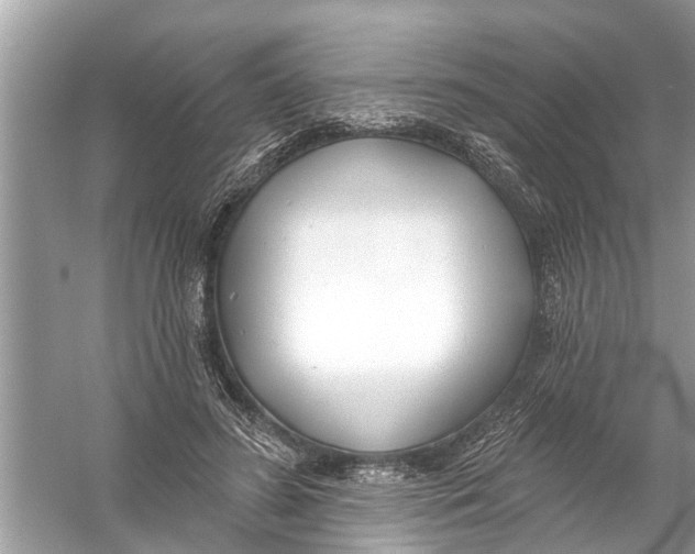 X0000056010596200509162346