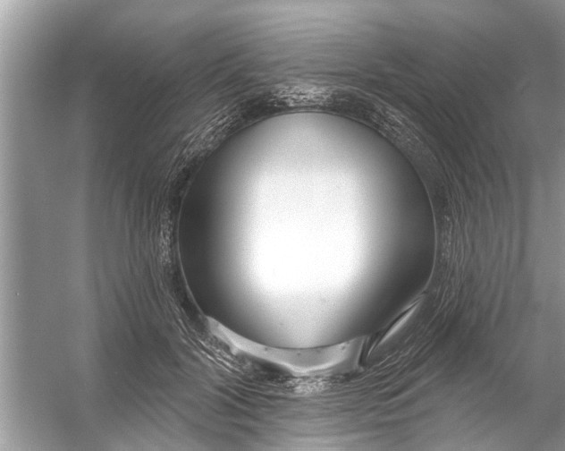 X0000056010604200509162346