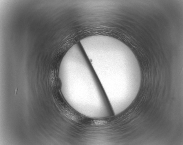 X0000056010605200509162346