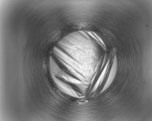 X0000056010607200509162346