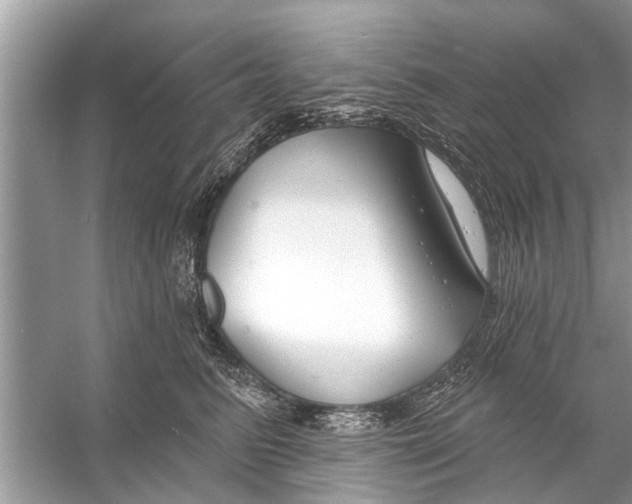 X0000056010615200509162346