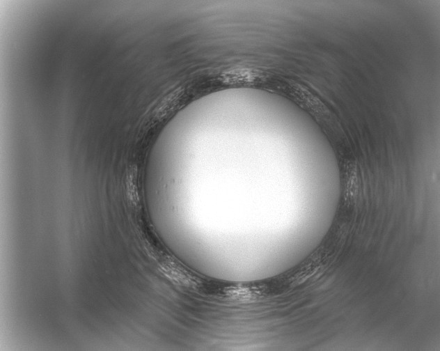 X0000056010616200509162346