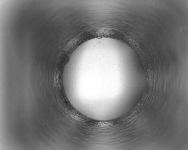 X0000056010619200509162346