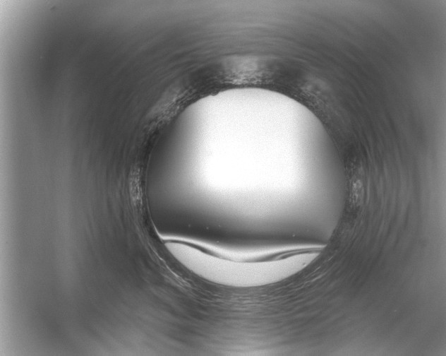 X0000056010620200509162345