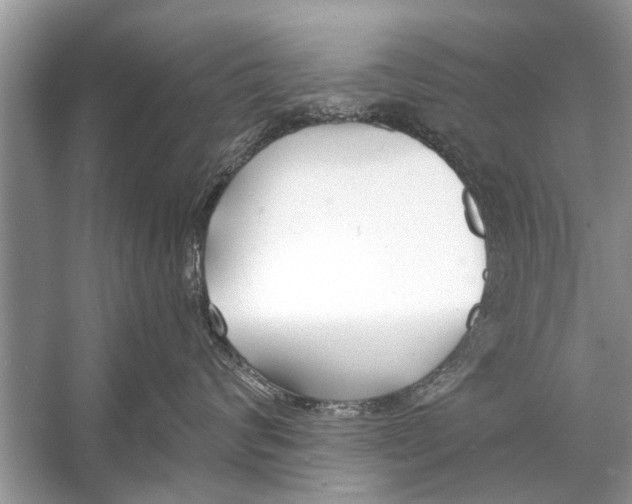 X0000056010624200509162345