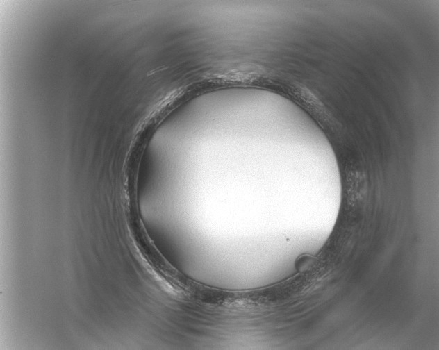 X0000056010634200509162345