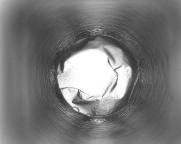 X0000056010654200509162345