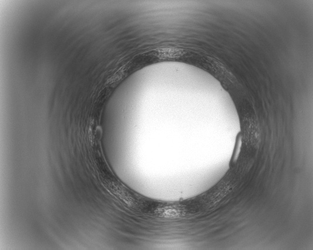 X0000056010655200509162345