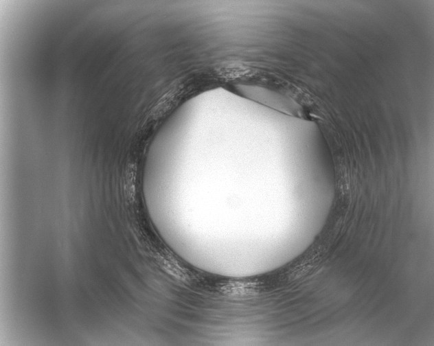 X0000056010664200509162345