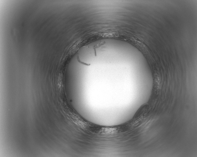 X0000056010665200509162345