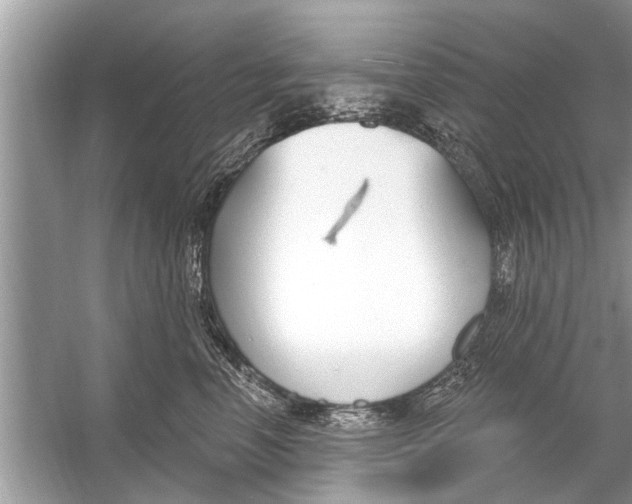 X0000056010666200509162345