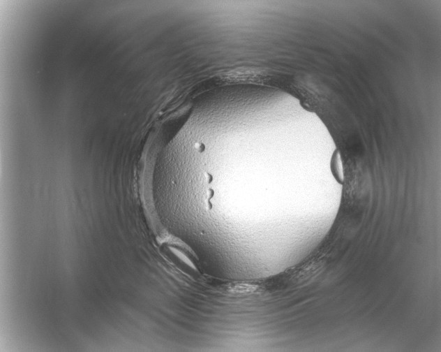 X0000056010669200509162345