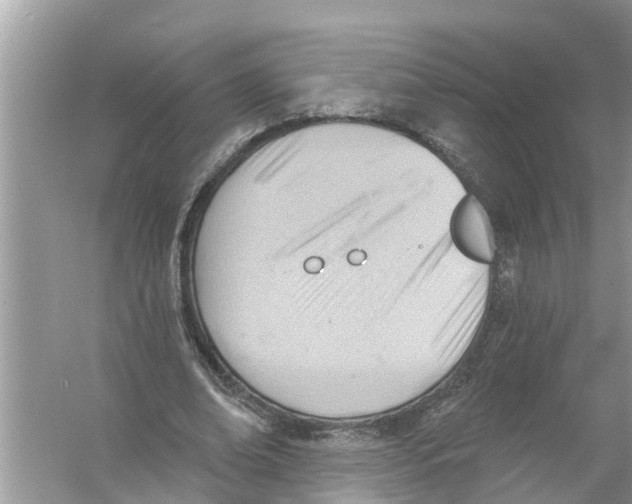 X0000056010678200509162345