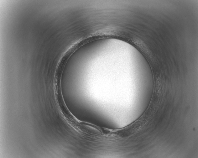 X0000056010680200509162344