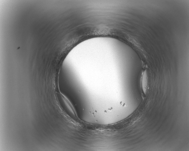 X0000056010681200509162344