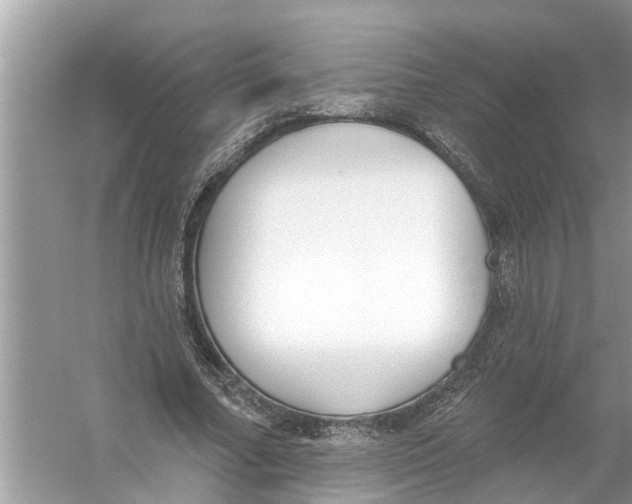 X0000056010682200509162344