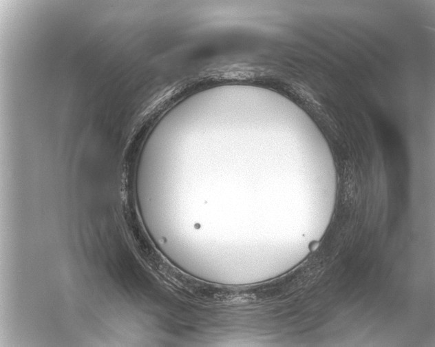 X0000056010683200509162344