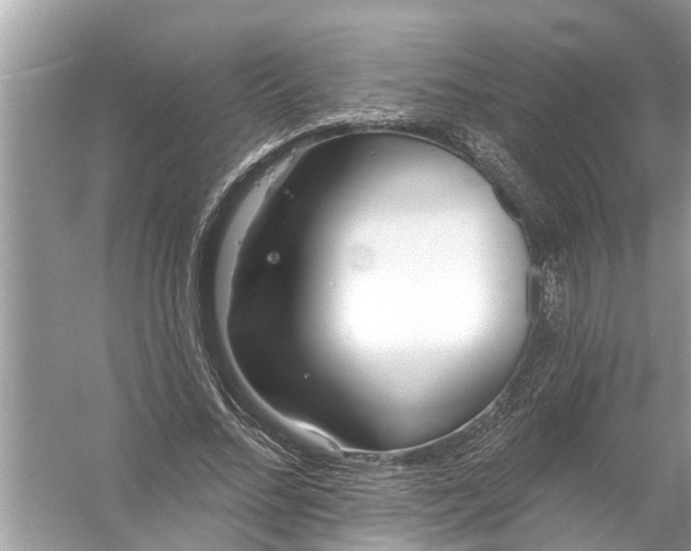 X0000056010684200509162344