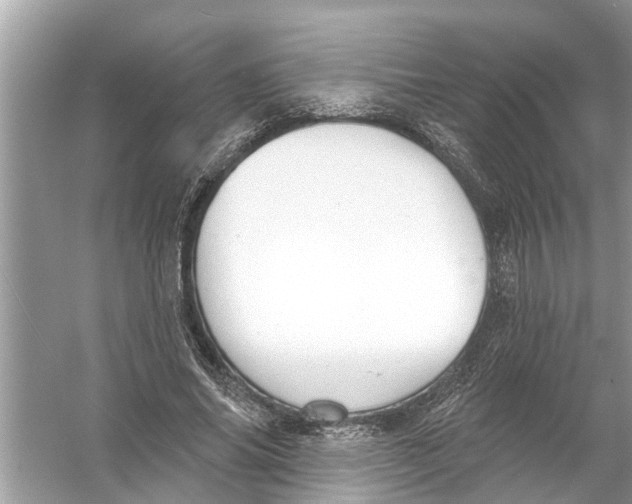 X0000056010686200509162344