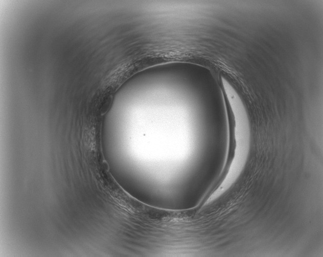 X0000056010689200509162344