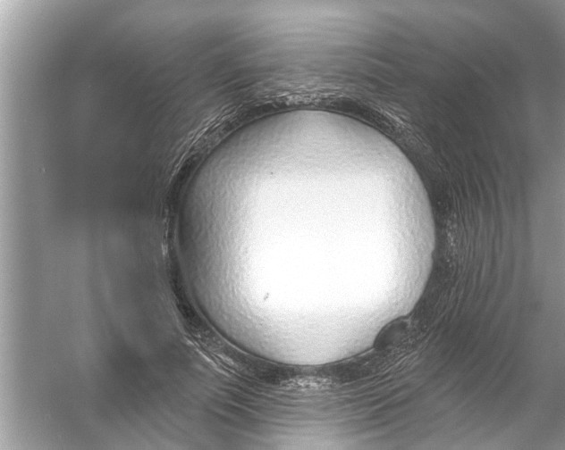 X0000056010691200509162344