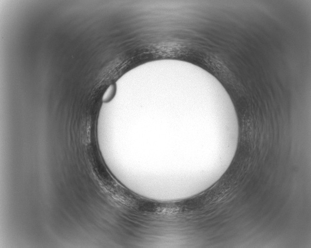 X0000056010694200509162344