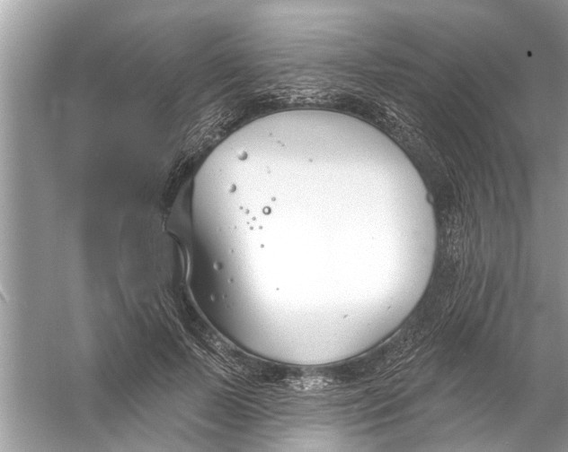 X0000056010695200509162344